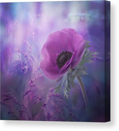 Ecstasy - Plakatbar.no