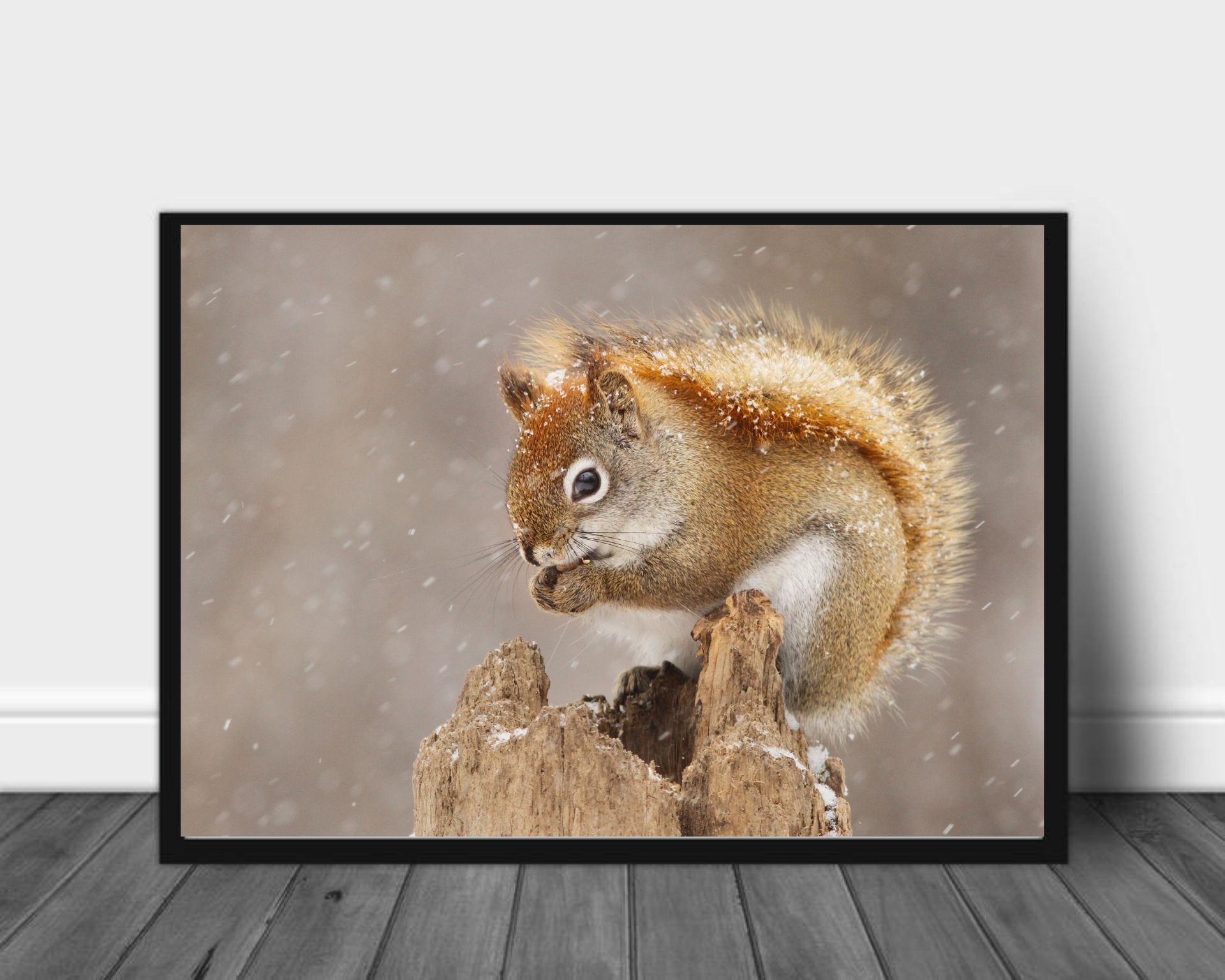 Ekorn på stubben poster - Plakatbar.no