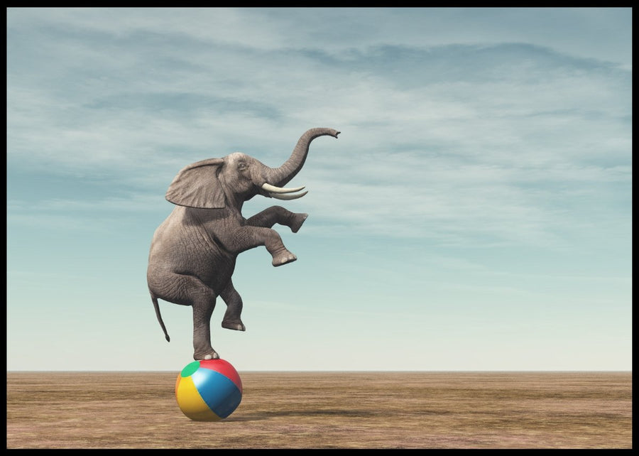 Elefant og bolden - Plakat
