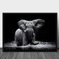 Elefant styrke poster - Plakatbar.no