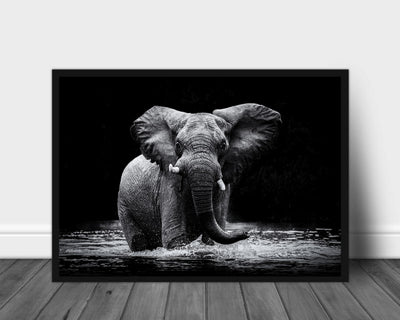 Elefant styrke poster - Plakatbar.no