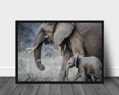Elefantmor med baby poster - Plakatbar.no