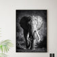 Elephant Bull Poster - Plakatbar.no