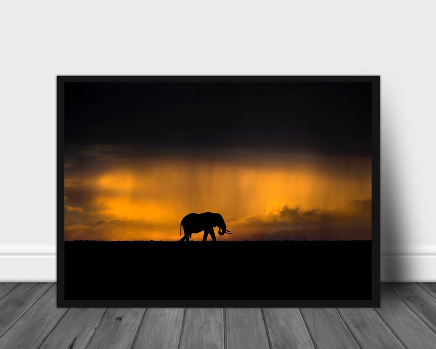 Elephant in a rainstorm at sunset poster - Plakatbar.no