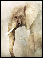 Elephant in grey tones poster - Plakatbar.no
