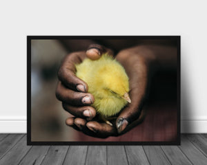 En fugl i hånden poster - Plakatbar.no