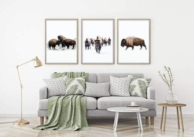 Enslig Bison Vinterplakat - Plakatbar.no