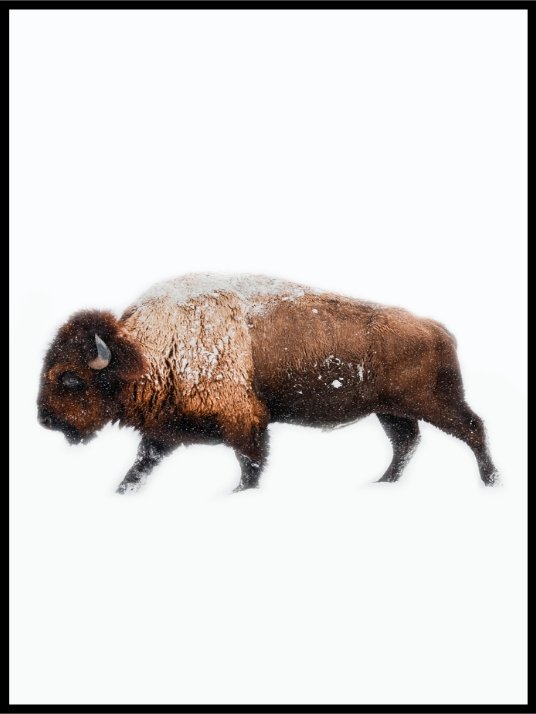Lonely Bison Vinterplakat