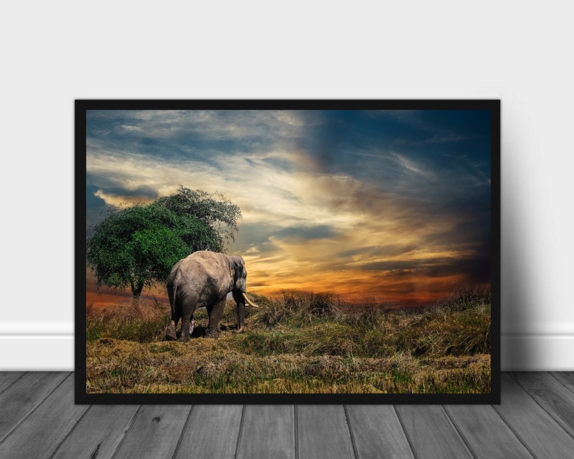 Enslig elefantokse poster - Plakatbar.no