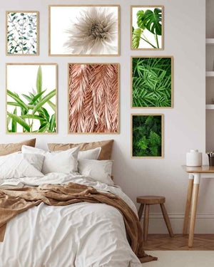 Eucalyptus - Botanisk Plakat - Plakatbar.no