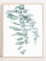 Eucalyptus I - Plakatbar.no