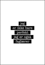 Faglærer - Jeg er ikke bare perfekt Plakat - Plakatbar.no