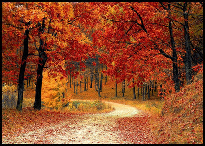 Fargerik skogsposter - Plakatbar.no