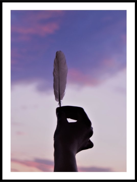 Feather toward the sky - Plakat - Plakatbar.no