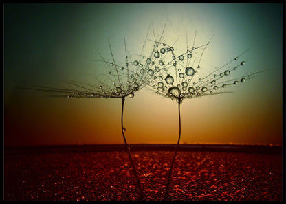 Fire and Water- Poster - Plakatbar.no