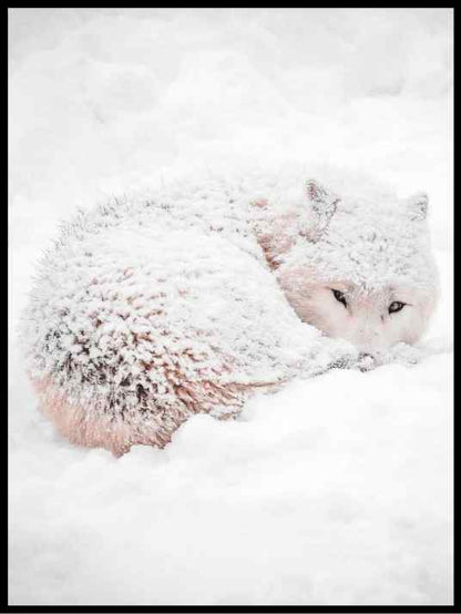 Fjellreven - Plakatbar.no