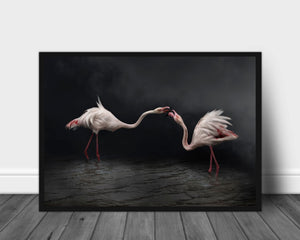 Flamingoes in the night poster - Plakatbar.no