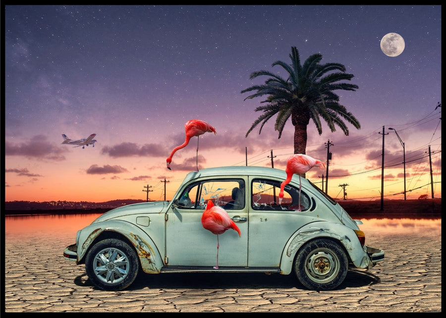 Flamingos ate my car poster