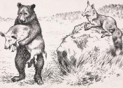 Flesk, sa bjørnen, Theodor Kittelsen - Poster - Plakatbar.no