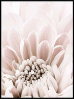 Floral interiør poster - Plakatbar.no