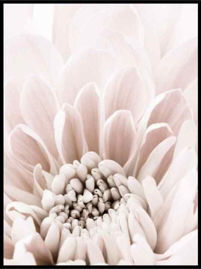 Floral interiør poster - Plakatbar.no