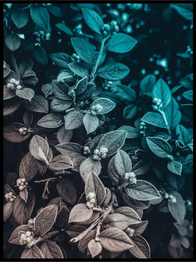 Flowerleaves - Plakatbar.no