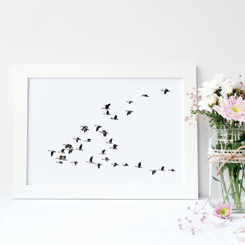 Flying Bird Poster - Plakatbar.no