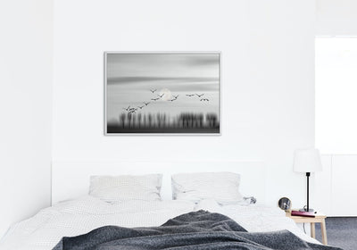 Flying free! - Plakatbar.no