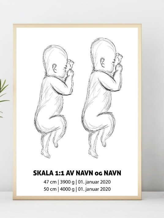 Birth poster for twins or siblings