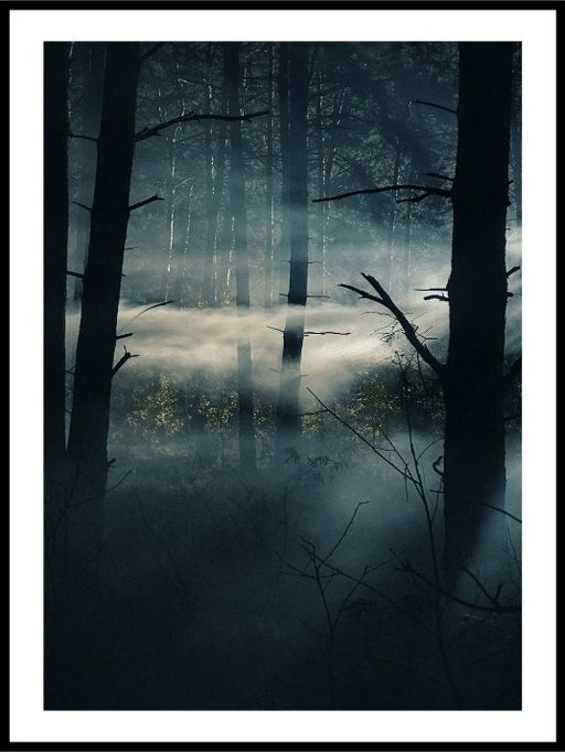 Foggy mystery forrest - Poster - Plakatbar.no