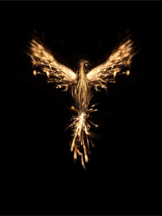Phoenix guld plakat