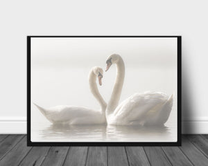 Forever poster - Plakatbar.no