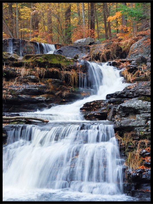 Waterfall in the forest 1 - Poster