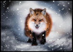 Fox poster - Plakatbar.no