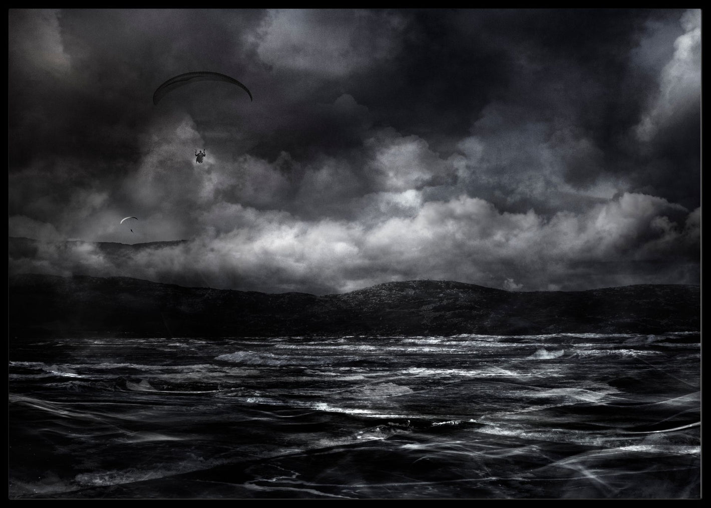 Free as a bird poster - Plakatbar.no