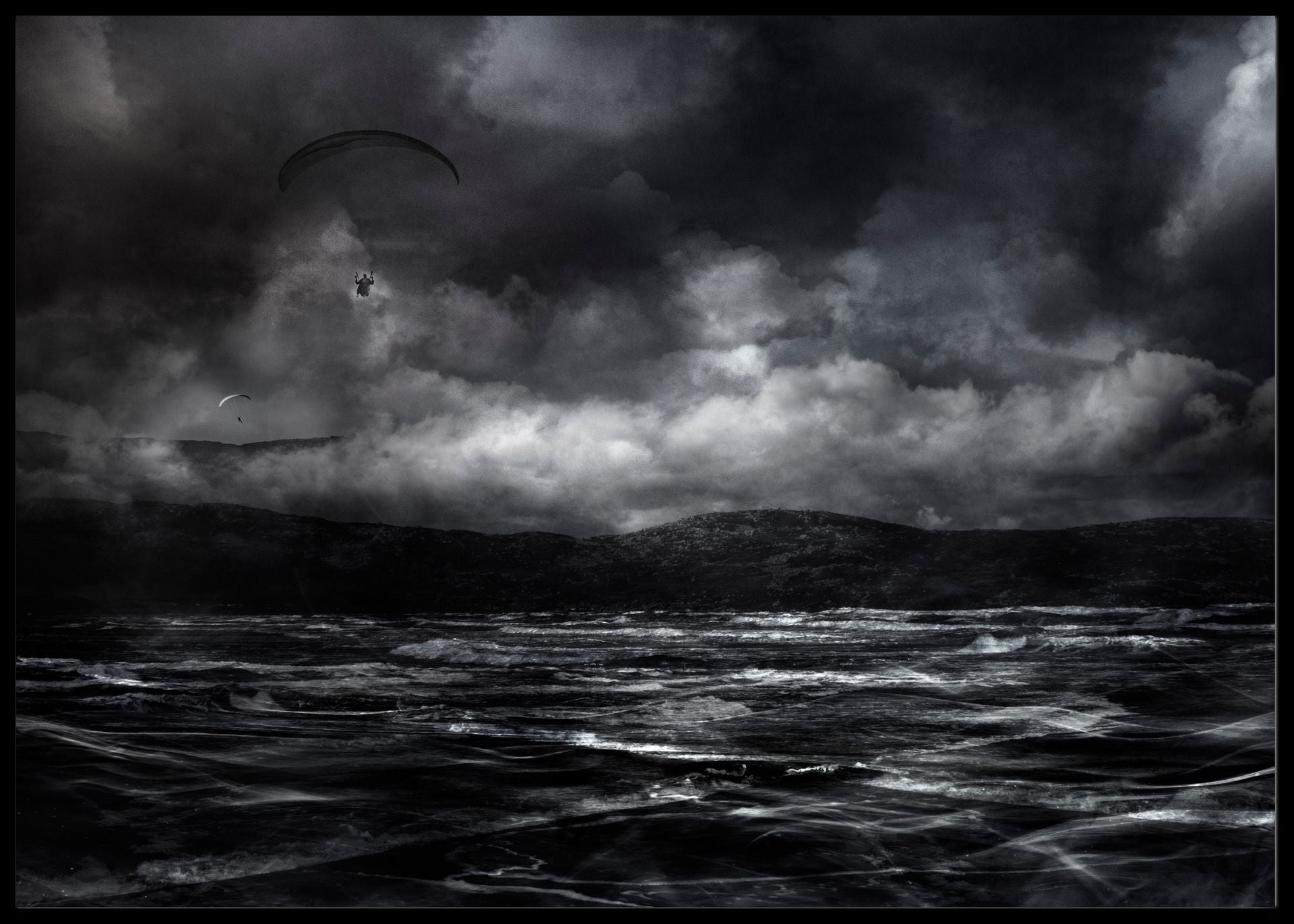 Free as a bird poster - Plakatbar.no