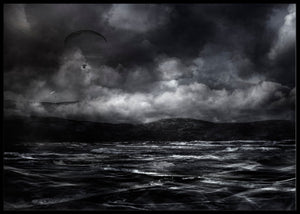 Free as a bird poster - Plakatbar.no