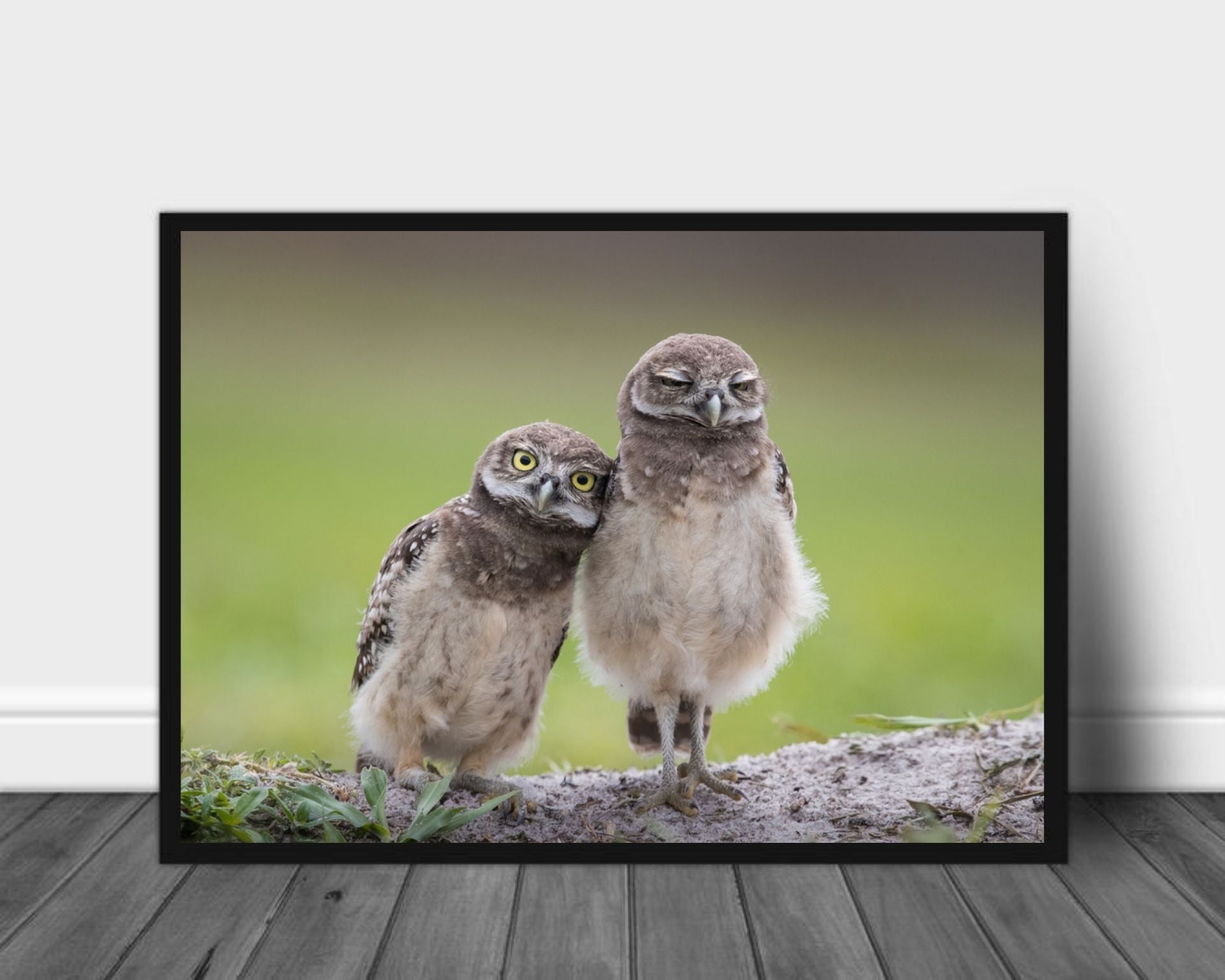 Friends poster - Plakatbar.no