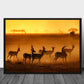 Golden Night poster - Plakatbar.no