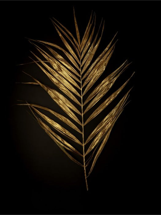 Golden plant leaf - Poster - Plakatbar.no