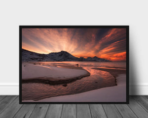Golden Sunset poster - Plakatbar.no