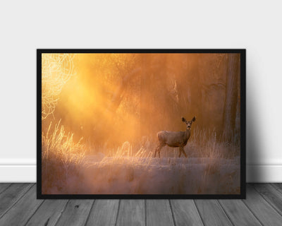 Good morning poster - Plakatbar.no