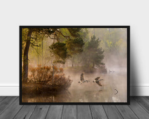 Goose fight poster - Plakatbar.no