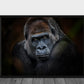 Gorilla - Plakat - Plakatbar.no