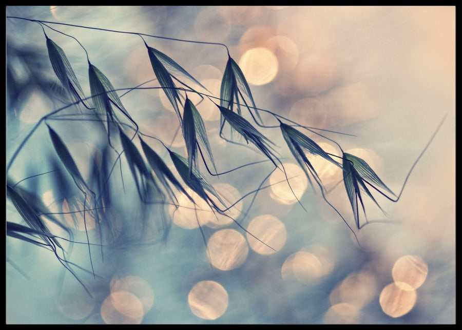 Grass- poster
