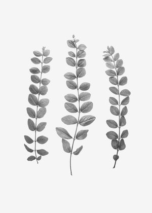 Grener - Plakatbar.no