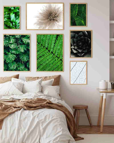 Grønne bregner 03 - Botanisk Plakat - Plakatbar.no