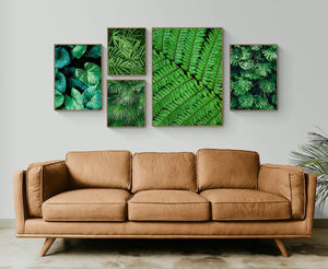 Grønne bregner 03 - Botanisk Plakat - Plakatbar.no