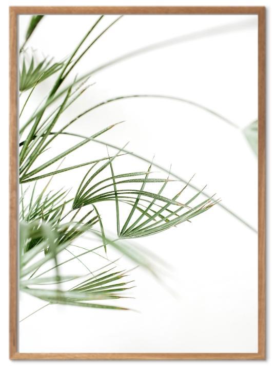 Grønne strå plakat - Plakatbar.no