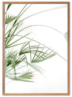 Grønne strå plakat - Plakatbar.no